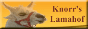 Knorr`s Lamahof Seifhennersdorf